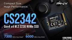 PNY CS2342高速M.2 2230固態硬盤發布 順序讀取可達7300MB/s